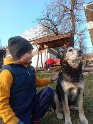 Ev, 2 Yatak Odası, Veranda