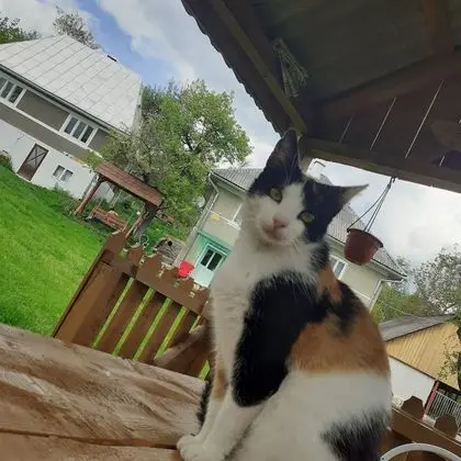 Ev, 2 Yatak Odası, Veranda