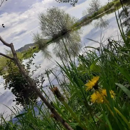 Ev, 2 Yatak Odası, Veranda