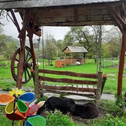 Ev, 2 Yatak Odası, Veranda