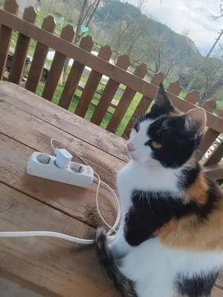 Ev, 2 Yatak Odası, Veranda