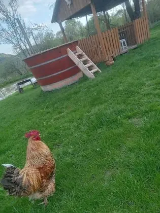 Ev, 2 Yatak Odası, Veranda