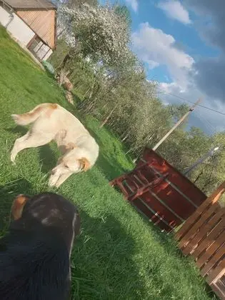 Ev, 2 Yatak Odası, Veranda