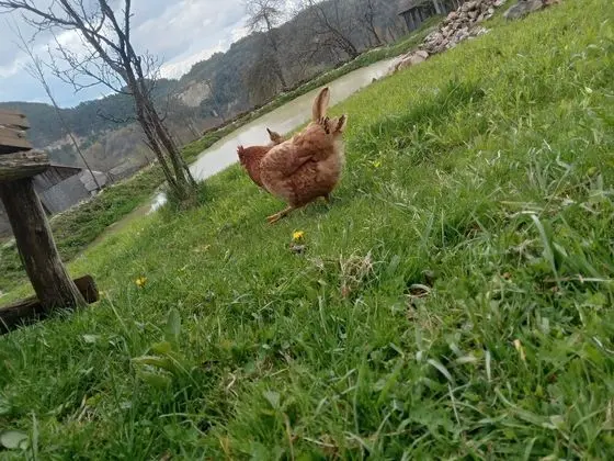 Ev, 2 Yatak Odası, Veranda