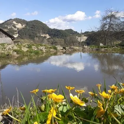 Ev, 2 Yatak Odası, Veranda