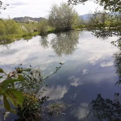 Ev, 2 Yatak Odası, Veranda