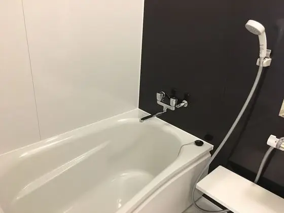 Ev