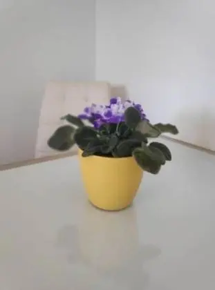 Apart Daire (Jadranka - free parking and grill - A)