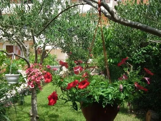 Apart Daire, 1 Yatak Odası (Lavanda)