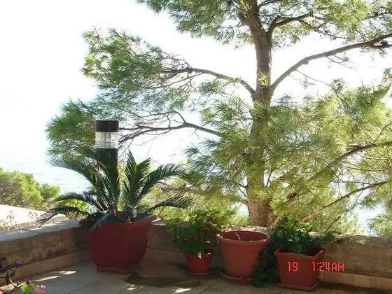 Apart Daire (Jag - 20m from the sea - A2 istocni(2)