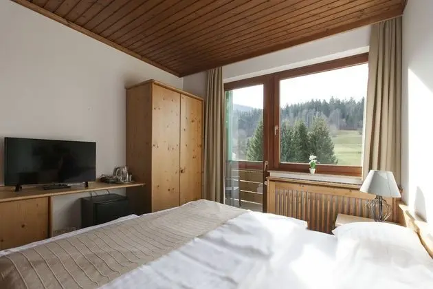 Economy Tek Büyük Yataklı Oda, Dağ Manzaralı