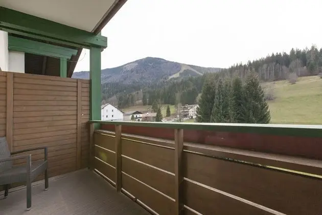 Standard Tek Büyük Yataklı Oda, Dağ Manzaralı