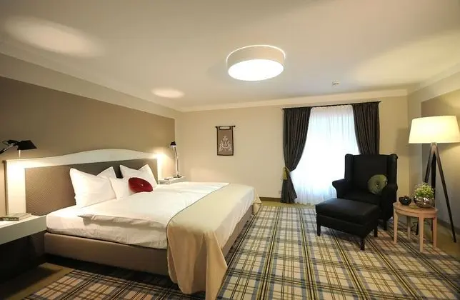 Deluxe Tek Büyük Yataklı Oda, 1 Çift Kişilik Yatak, Park Manzaralı