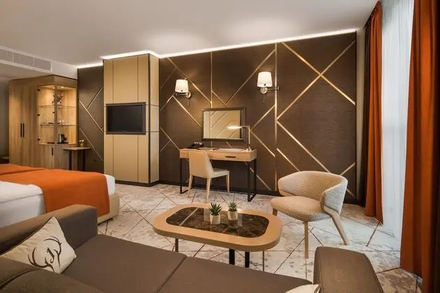 Premium Tek Büyük Yataklı Oda