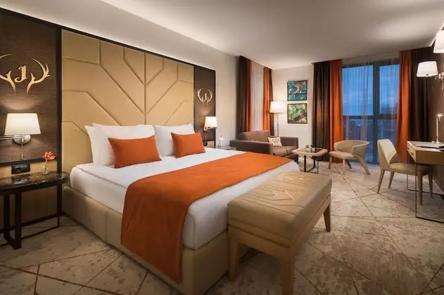 Premium Tek Büyük Yataklı Oda