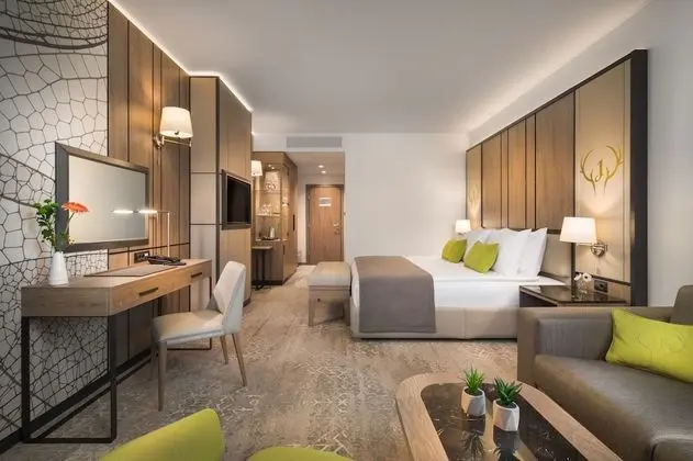 Premium Tek Büyük Yataklı Oda