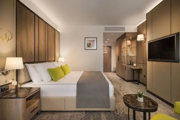 Standard Tek Büyük Yataklı Oda