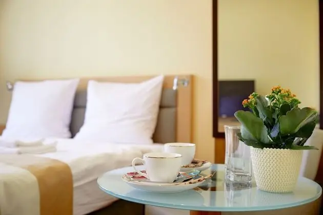 Deluxe Tek Büyük Yataklı Oda, 1 En Büyük (King) Boy Yatak, Şehir Manzaralı