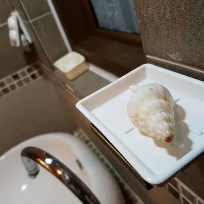 Basic Ortak Ranzalı Oda, Sadece kadınlar için, Plaj Manzaralı, Plaj Kenarı