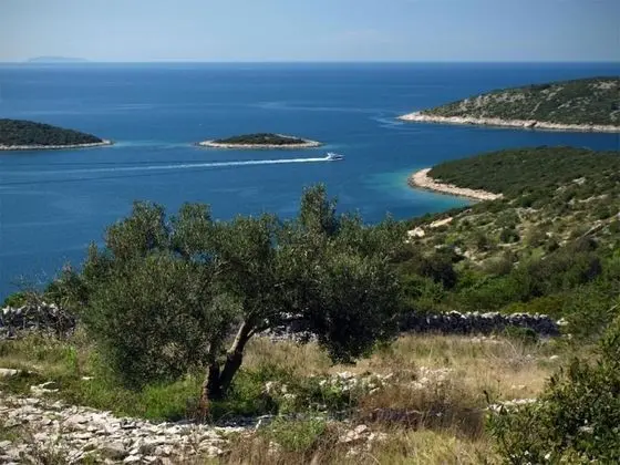 Apart Daire (Jak - 10m from the sea - A(4+2))