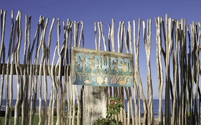 Seaweed 4 Bedroom Luxury Villa
