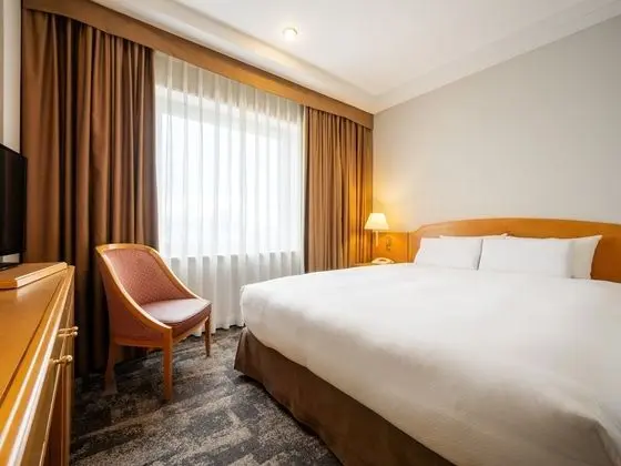 Deluxe Tek Büyük Yataklı Oda, Sigara İçilmez