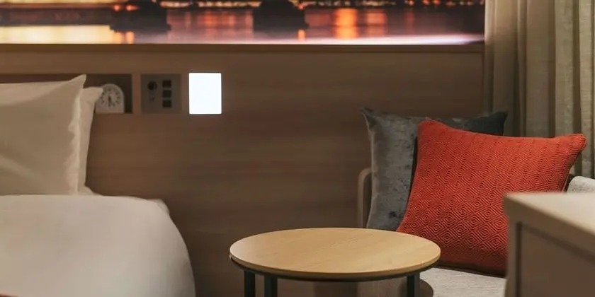 Standard Tek Büyük Yataklı Oda, Sigara İçilmez