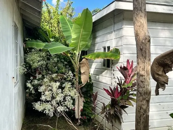 Garden Cabin