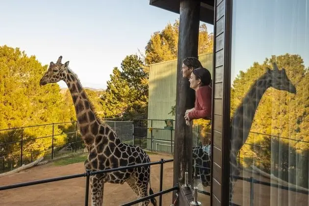 Giraffe Tree House (Check in by 2:30pm)