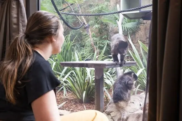 Luxury Lemur Room (Check in by 2:30pm)