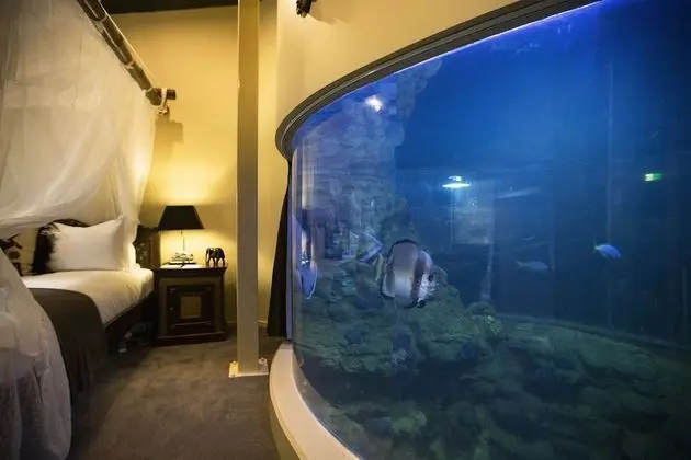 Luxury Reef Room (Check in by 2:30pm)