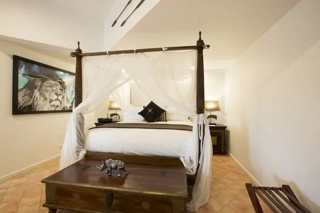Luxury Room Wild Encounter 2 (Meet a Cheetah experience for 2) (check in by 2:30pm)