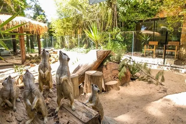 Wild Encounter 2 Bedroom Suite (Check in by 2:30pm)