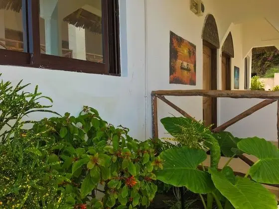Garden View-Standard