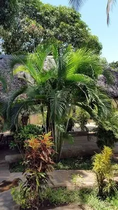 Villa Papaya, 1 Bedroom