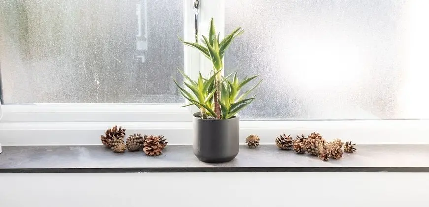 Kır Evi, Özel Banyo