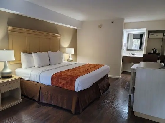 Standard Oda, 1 En Büyük (King) Boy Yatak, Buzdolabı ve Mikrodalga, Şehir Manzaralı