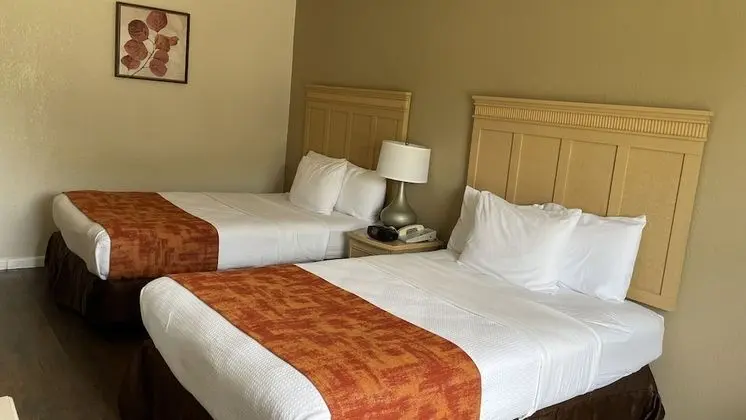 Standard Oda, 2 Çift Kişilik Yatak, Buzdolabı ve Mikrodalga, Şehir Manzaralı