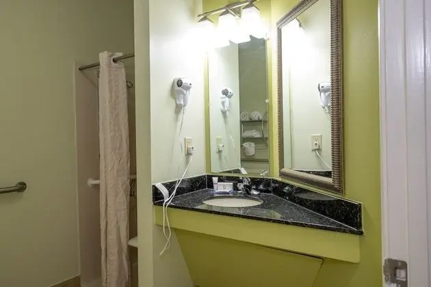 Standard Süit, 1 Büyük (Queen) Boy Yatak, Engellilere Uygun, Sigara İçilmez (Roll-In Shower)