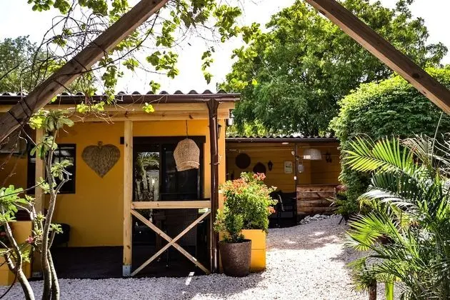 Iguana View Studio