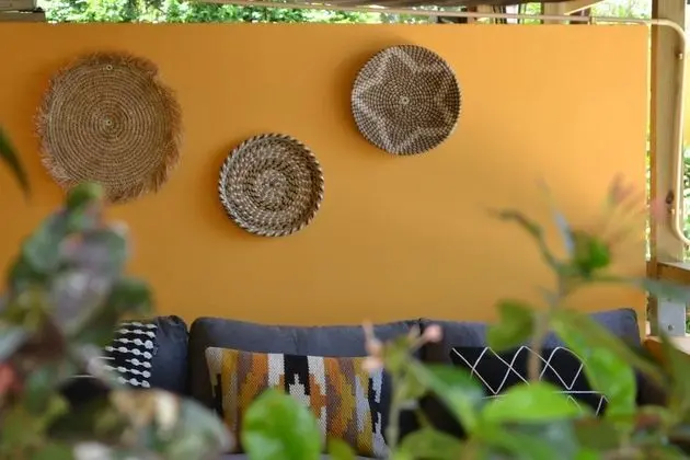 Iguana View Studio