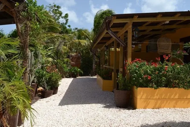 Iguana View Studio