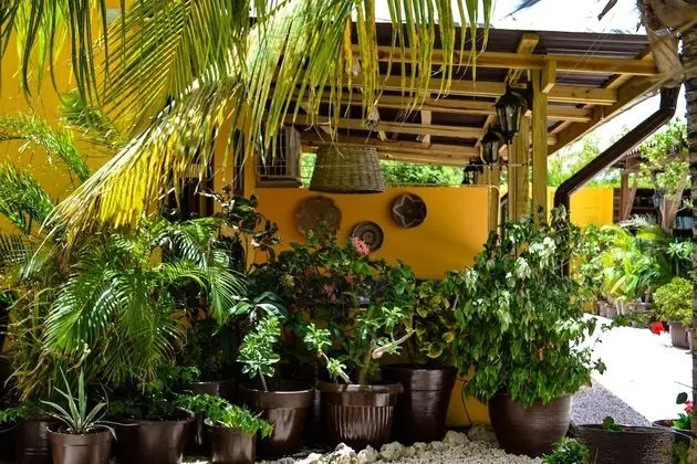 Iguana View Studio