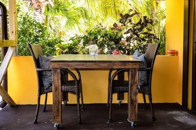 Iguana View Studio