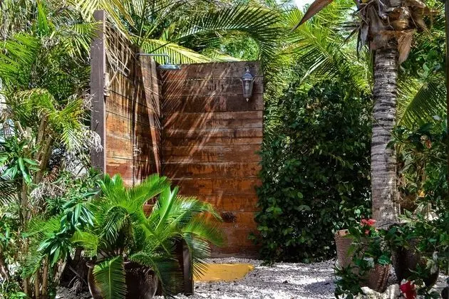 Iguana View Studio