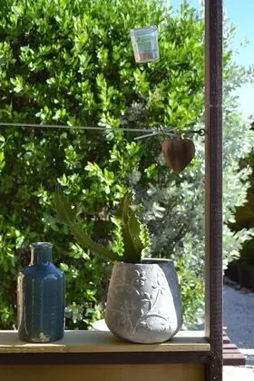Iguana View Studio