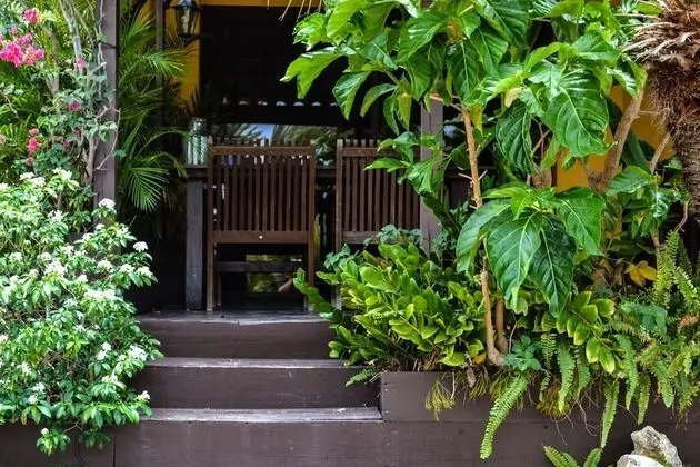 One-bedroom Apartment Flamingo View