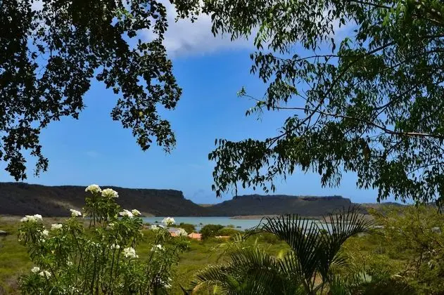 One-bedroom Apartment Flamingo View