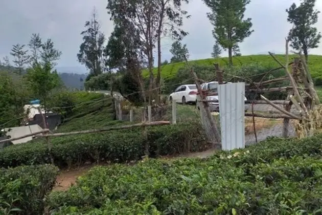 Basic Çadır, Tepe Manzaralı