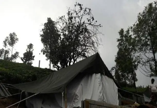 Standard Çadır, Tepe Manzaralı